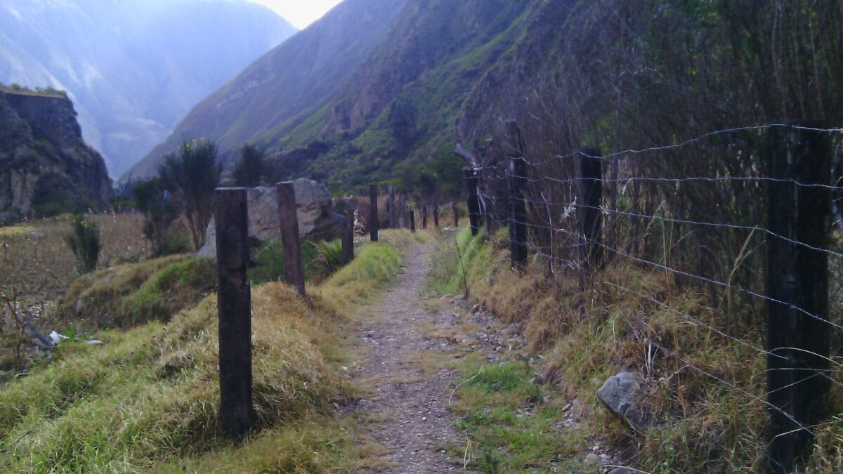 El camino que va a Machu Picchu. 