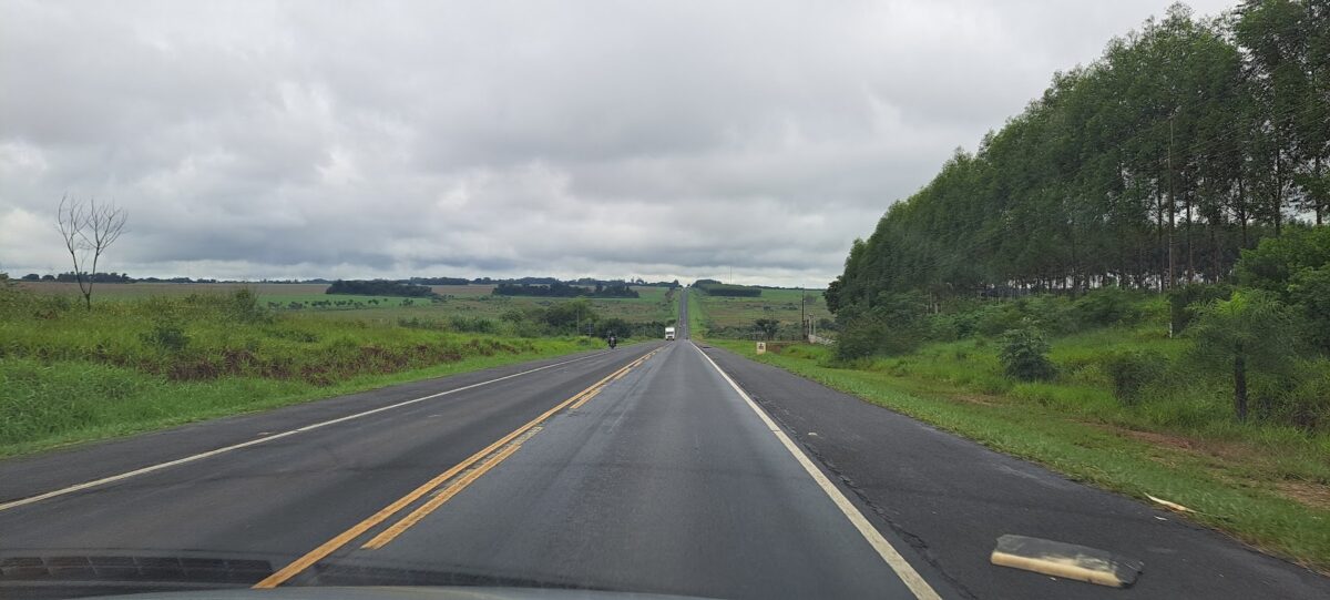 Carretera recta que se pierde en el horizonte entre campos verdes y cielo nublado, vista desde el auto