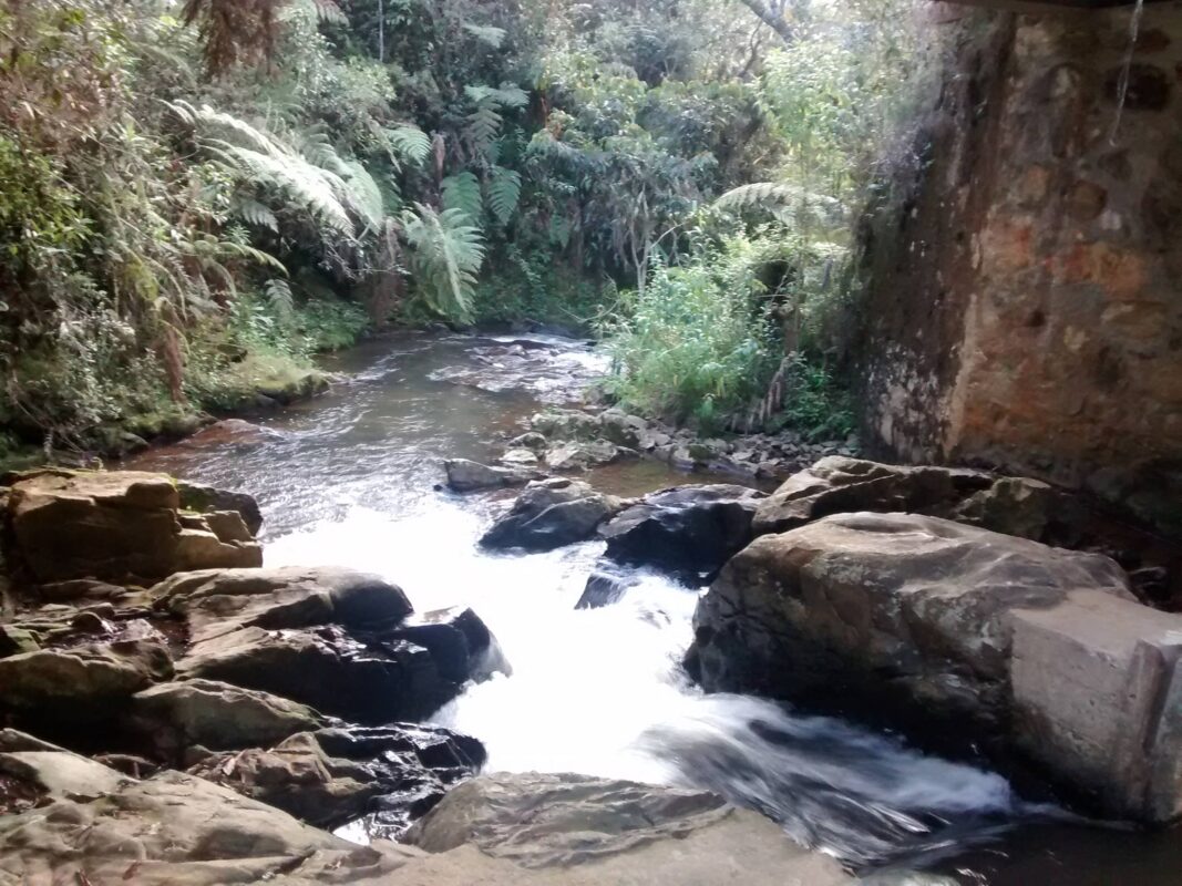 Medellín. Parque Arví.