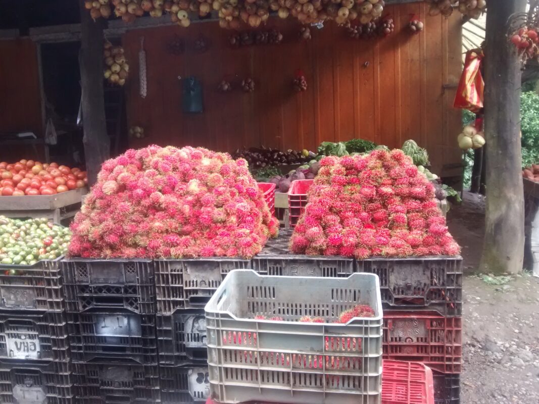 El puesto de mamón chino.